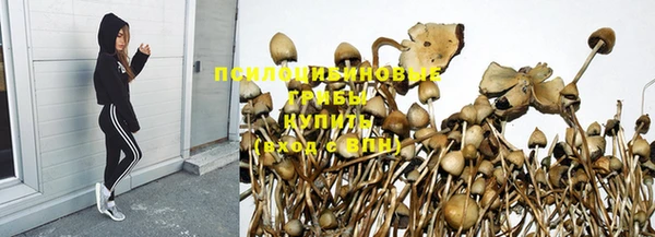 хмурый Краснослободск