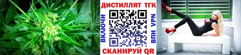 ТГК Wax  Купить  Донской 