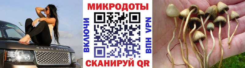 Псилоцибиновые грибы ЛСД  Купить где  Донской 